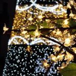 Lee más sobre el artículo Navidad en Navacerrada. Luces de Navidad
