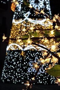 Luces en Árbol de Navidad en Navacerrada