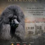 Lee más sobre el artículo ¡Llega el X concurso nacional canino a Moralzarzal!