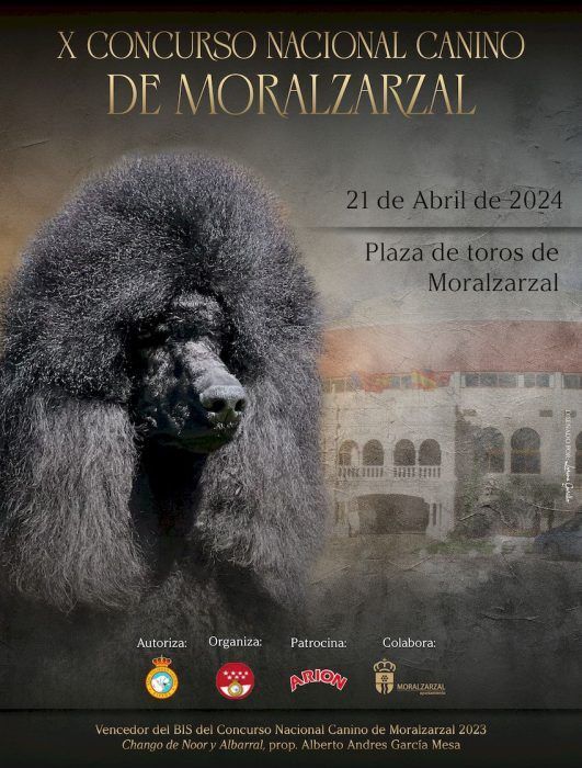 Décimo Concurso Nacional Canino de Moralzarzal