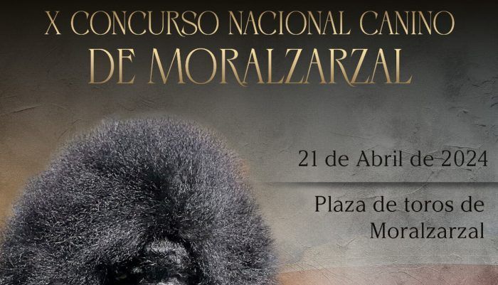 Décimo Concurso Nacional Canino de Moralzarzal