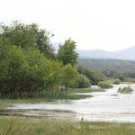 Embalse de Santillana lleno Manzanares el Real. Margen del embalse