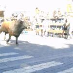 Lee más sobre el artículo Encierros de Collado Villalba y Moralzarzal. Recomendaciones para correr en encierros
