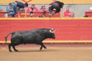 Jovenes saltando la barrera de la plaza de toros de Moralzarzal