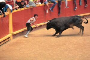 Cara a cara con un toro en la plaza de toros de Moralzarzal