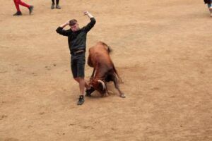 Joven esquivando a vaquilla en la plaza de toros de Moralzarzal