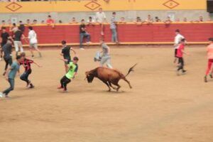 Disfrutando de las vaquillas en la plaza de toros de Moralzarzal