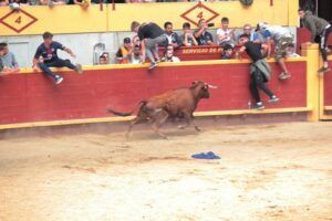Jovenes saltando la barrera de la plaza de toros de Moralzarzal