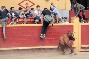 Jovenes saltando la barrera de la plaza de toros de Moralzarzal