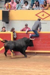Saltando la barrera de la plaza de toros de Moralzarzal