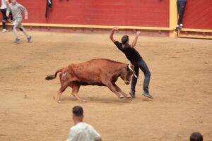 Joven esquivando a la vaquilla en la plaza de toros de Moralzarzal