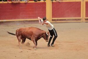 Joven esquivando a la vaquilla en la plaza de toros de Moralzarzal