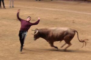 Joven esquivando a la vaquilla en la plaza de toros de Moralzarzal