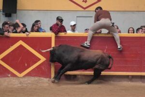 Joven saltando la barrera de la plaza de toros de Moralzarzal