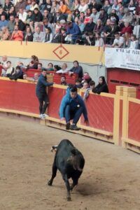 Joven saltando a la vaquilla en la plaza de toros de Moralzarzal