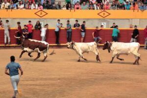 Encierros, plaza de toros de Moralzarzal