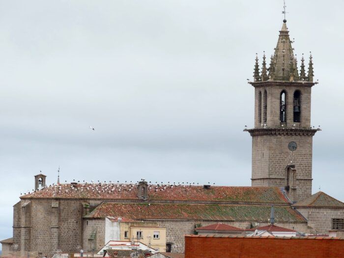 Campanario de la Basílica de la Asunción