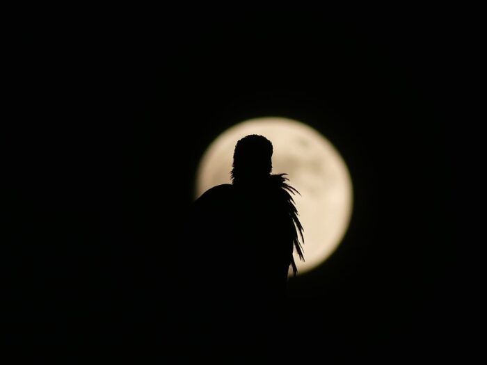 Desde Colmenar Viejo con la luna llena