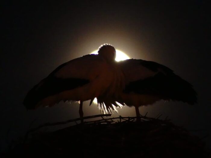 Desde Colmenar Viejo conla luna llena