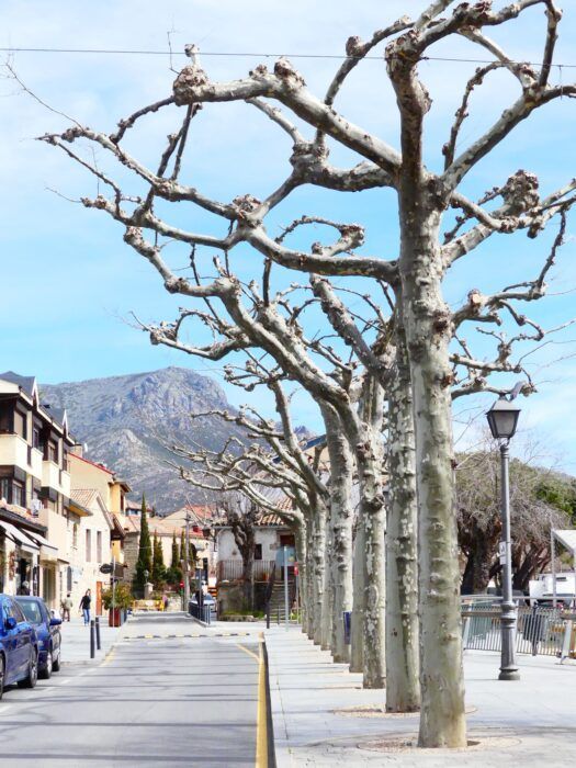 Vista de la Maliciosa al entrar en Navacerrada