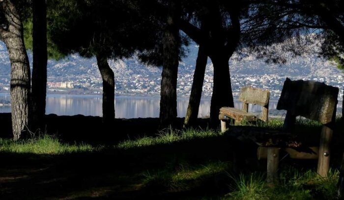 Vista idílica de Manzanares bajo la sombra de los pinos