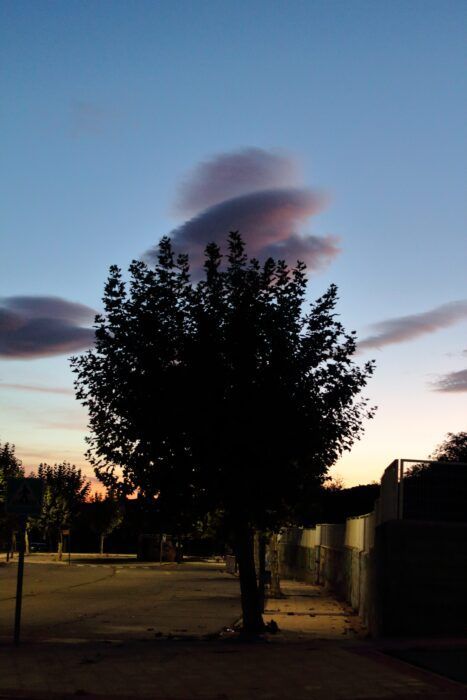 Belleza efímera en Moralzarzal