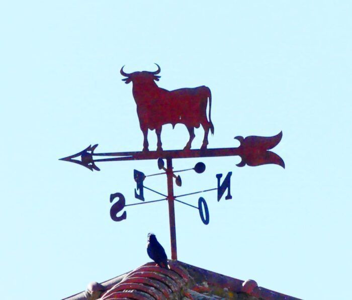 Veleta de Toro de Alcalá de Henares