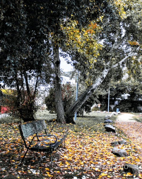 Banco en un parque de Moralzarzal en Otoño
