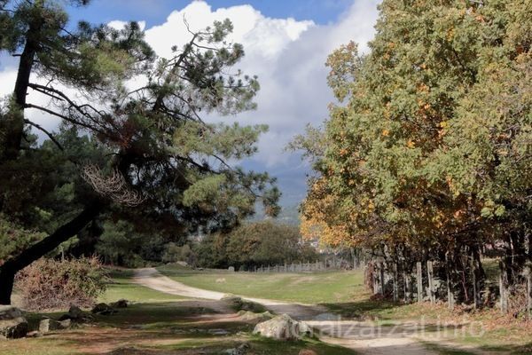 Campo. Alrededores para hacer senderismo en Moralzarzal