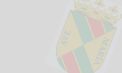 Logo Collado Villalba