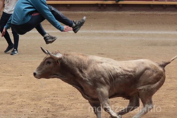 Rejoneador saltando sobre un toro en las fiestas de Moralzarzal