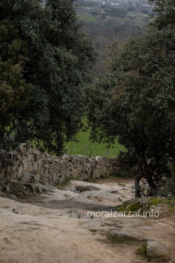 Senda empedrada en el Camino de alpedrete (Moralzarzal-Villalba)