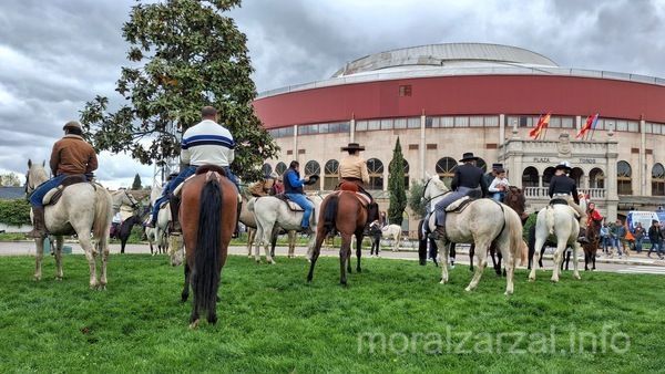 Fiesta Cruz de Mayo en Moralzarzal Exhibición caballos en la Plaza de Toros