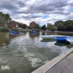 Lee más sobre el artículo Laguna del Carrizal con barcas, el pequeño retiro de Collado Villalba