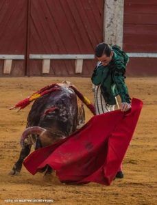 Elegancia y tradición en la plaza de toros de Moralzarzal