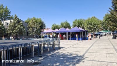 Mercadillo Municipal de Alpedrete