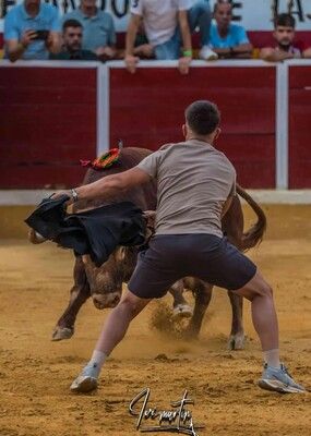 Recortador Frente al Toro