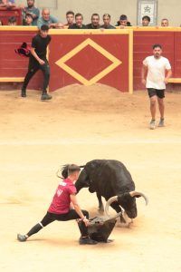 Capotazo Recortes Plaza de Toros de Moralzarzal