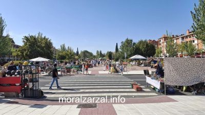 El rastro de las Rozas