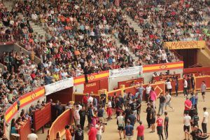Publico en la Plaza de Toros de Moralzarzal