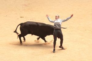 Recortes Plaza de Toros de Moralzarzal 2